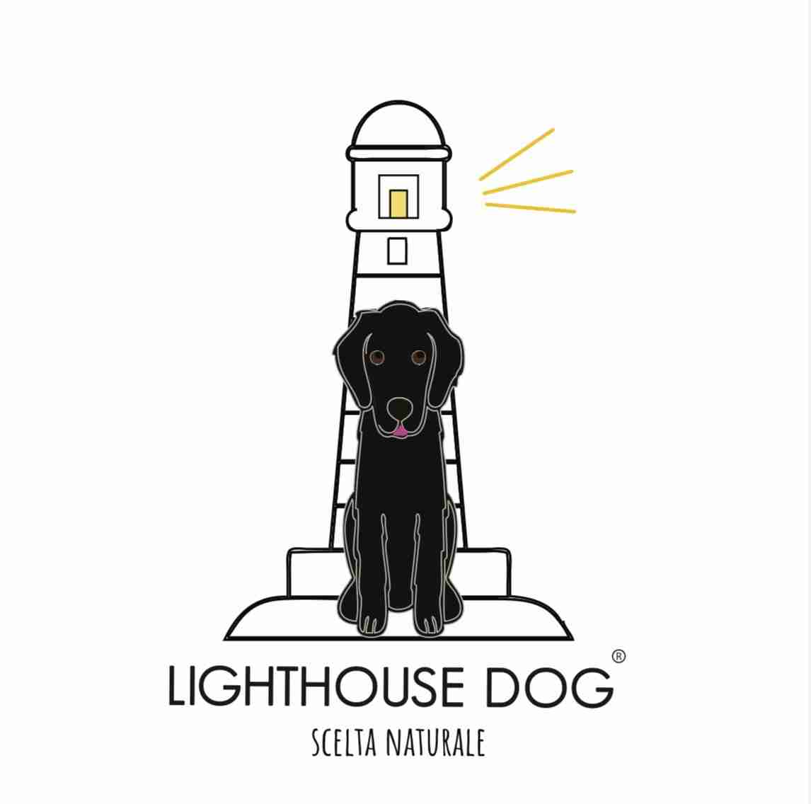 lighthousedog.it
